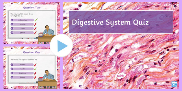 Digestion Quiz Powerpoint