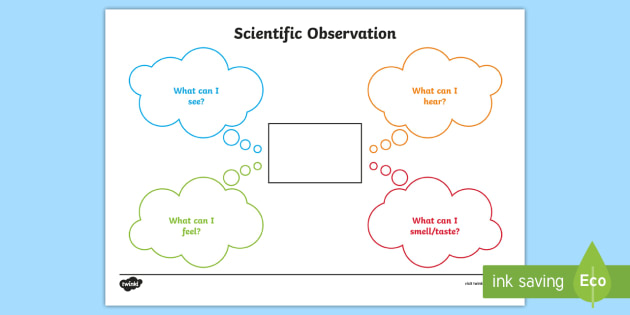 Scientific Observations Worksheet / Worksheet (teacher made)