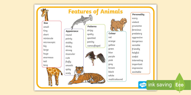 Features of Animals Word Mat - Twinkl - Literacy Resources