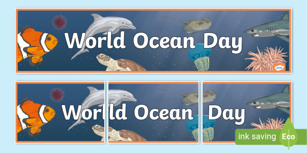 World Ocean Day Banner - Display Resources - Geography