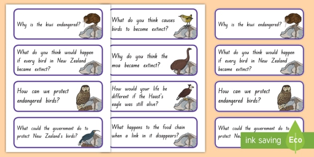 New Zealand Extinct Birds Question Prompt Cards