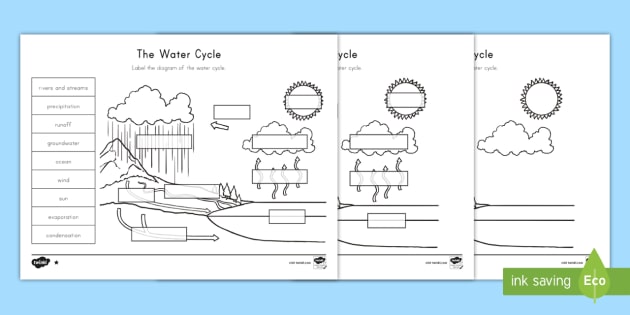 Label the Water Cycle Differentiated Activity for K-2nd Grade