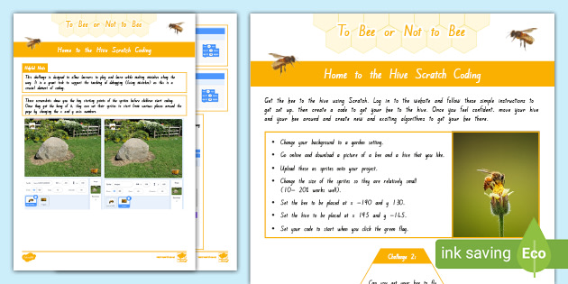 To Bee or Not to Bee: Home to the Hive Scratch Coding
