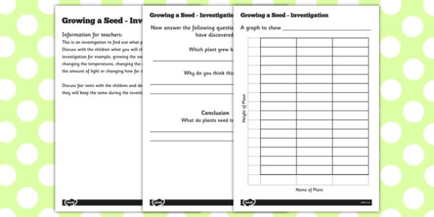Growing a Seed Investigation - growing, seed, investigation