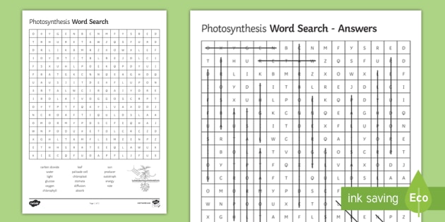 Photosynthesis Word Search Teacher Made