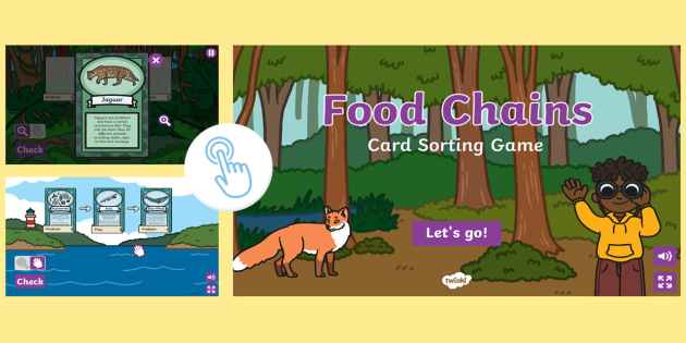 Food Chain Card Game | Wildlife Games | Twinkl Go! - Twinkl