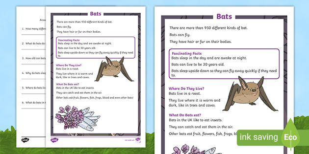 Year 1 Reading Comprehension: Bats - Primary Resource
