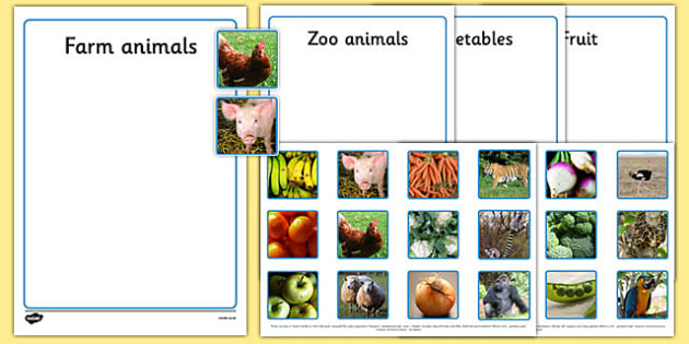 Photo Fruit, Vegetables, Farm Animals and Zoo Animals Sorting Activity