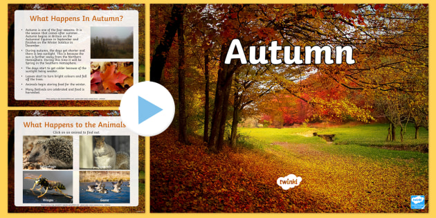 Autumn Animals Powerpoint Primary Resources Teacher Made