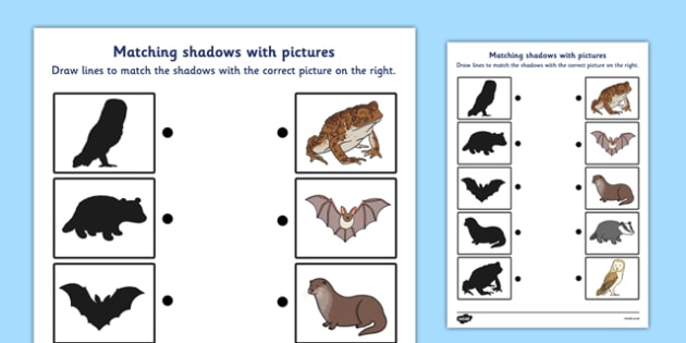 Wild Nocturnal Animals Shadow Matching Worksheet - Twinkl