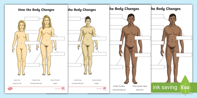 How Your Body Changes During Puberty Worksheets KS2 - Twinkl