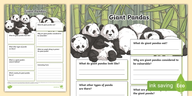 PANDAページ Panda Fact File Template
