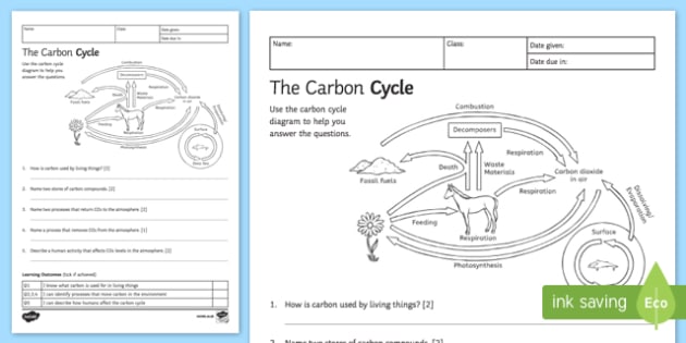 ks3 carbon cycle homework worksheet science resource twinkl