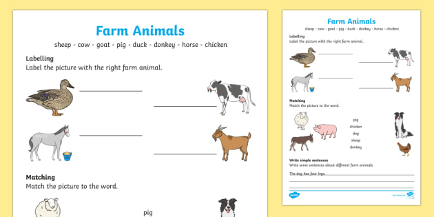 Farm Animals Worksheet (teacher made)