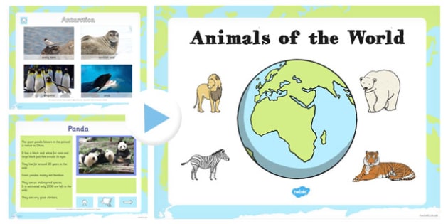 EYFS Animals Around the World PowerPoint (teacher made)