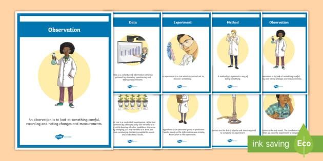 Science Experiment Terms Display Posters (teacher made)