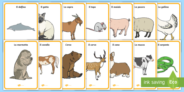 Display Posters for Animals in Italian - Primary Resource