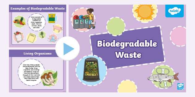 biodegradable-waste-powerpoint-lower-primary-teacher-made