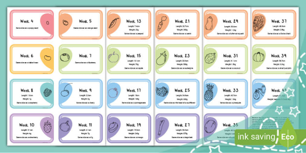 FREE! Milestone Cards How Big is My Baby? (teacher made)