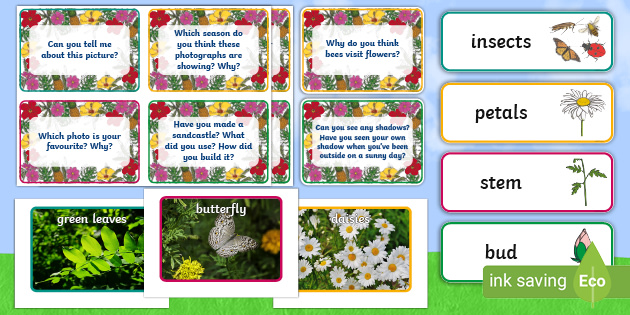 Talking About Summer Photo Resource Pack (teacher made)