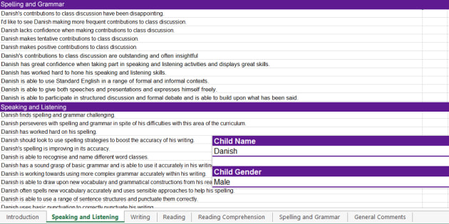 Report Writing Bank of Statements KS3/4 English Spreadsheet