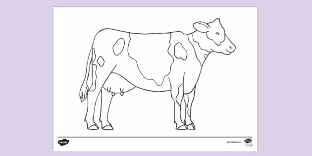 FREE! - Cow Colouring Sheet | Colouring Sheets | Twinkl Resources