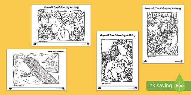 Marwell Zoo Colouring Activity | Primary Resources | Twinkl