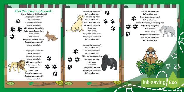 Can You Find An Animal Movement Song