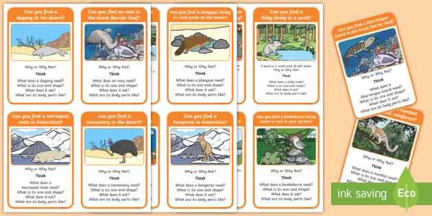 Crazy Australian Animal Habitat Question Cards - Twinkl