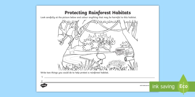 Protecting Rainforest Habitats Worksheet / Worksheet