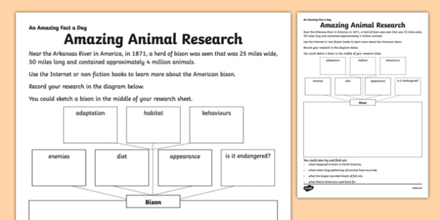 Amazing Animal Research Worksheet / Worksheet (teacher made)