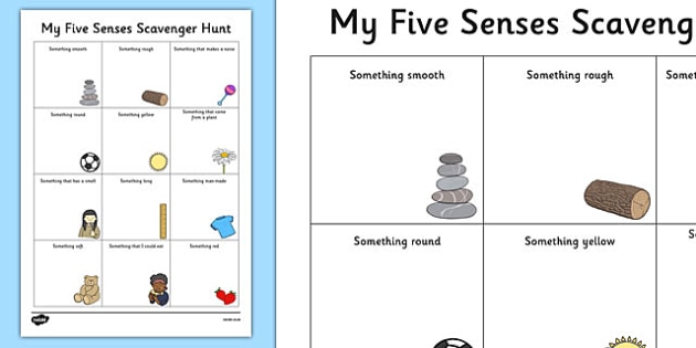 five-senses-scavenger-hunt-worksheet-science-habitats