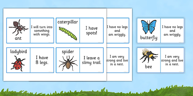 Minibeasts Description Loop Cards - loop cards, cards