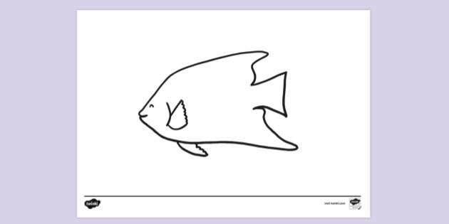 Free Rainbow Fish Colouring Page Primary School Twinkl