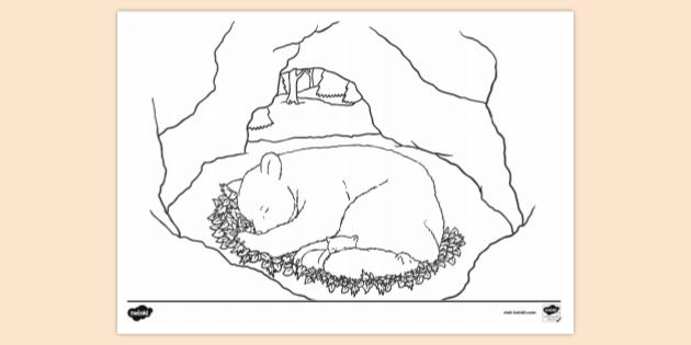 Free Hibernating Bear In Cave Colouring Sheet Colouring Page