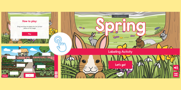 Spring Interactive Labeling Activity (teacher made)