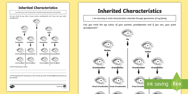 Inheritance: Homework Worksheet / Worksheet (teacher made)