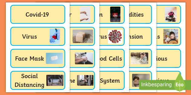 Chapter 19 Flashcards