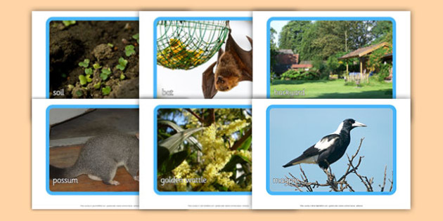 Backyard Habitat Photo Display Pack Australia Science Year