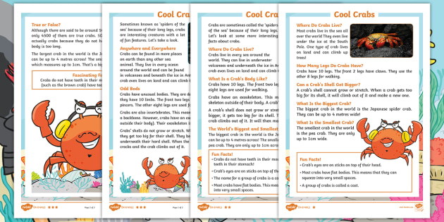 Crab Facts For Kids Twinkl Homework Help Twinkl