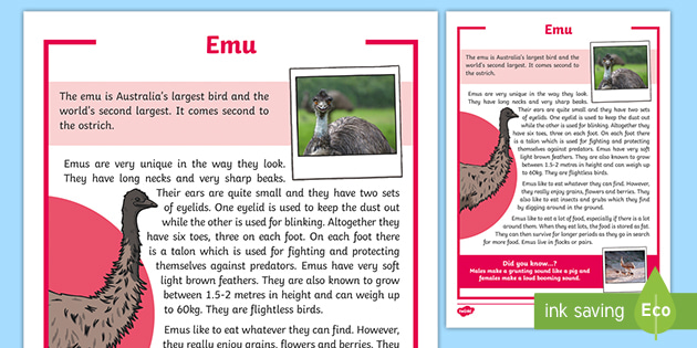 Vag Supersonic hastighed skolde Emu Fact Sheet