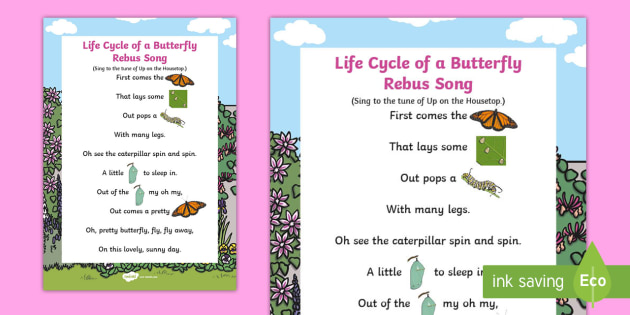 Life Cycle Of A Butterfly Rebus Song Usa Early Childhood