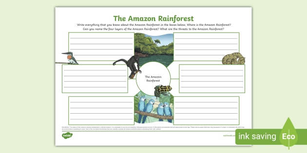 Amazon Rainforest Mind Map (teacher made)