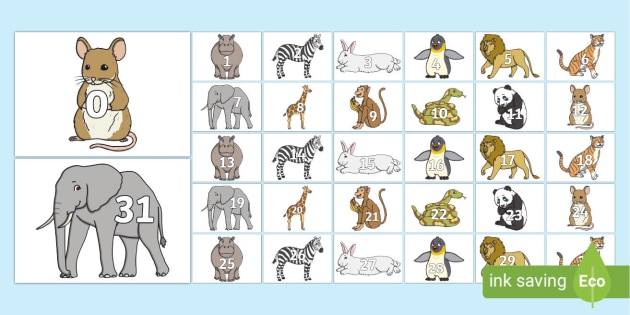 Adorable Animals Number Cards - Ks1 Maths - Primary Resource