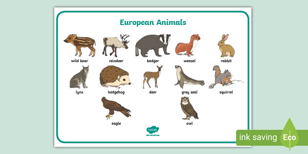 European Animals Word Mat (teacher made) - Twinkl