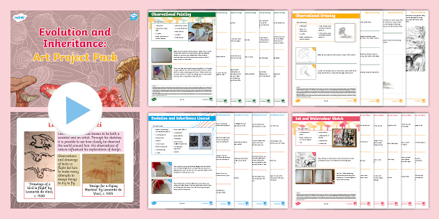 UKS2 Evolution and Inheritance: Art Project Pack
