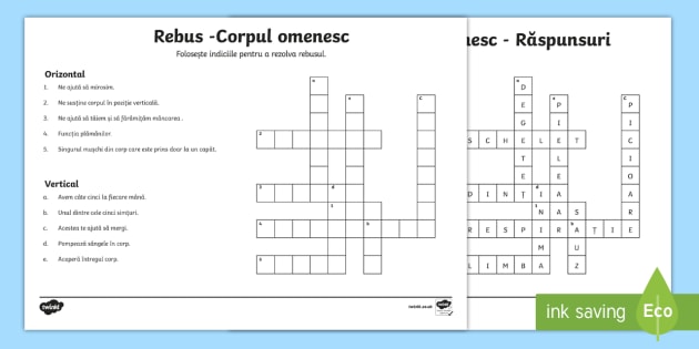 Corpul Omenesc Rebus Teacher Made