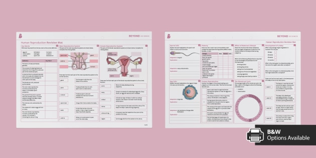 Ks3 Human Reproduction Revision Mat Foundation 