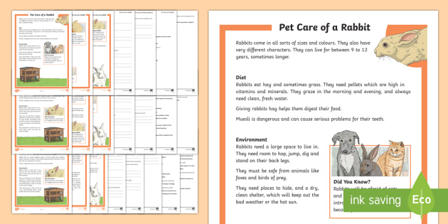KS2 Pet Care of a Rabbit Differentiated Reading