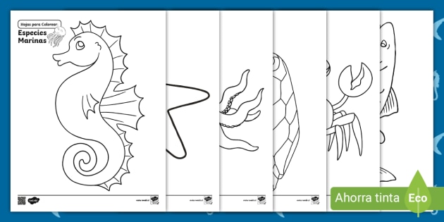 dibujos de animales del mar para colorear e imprimir